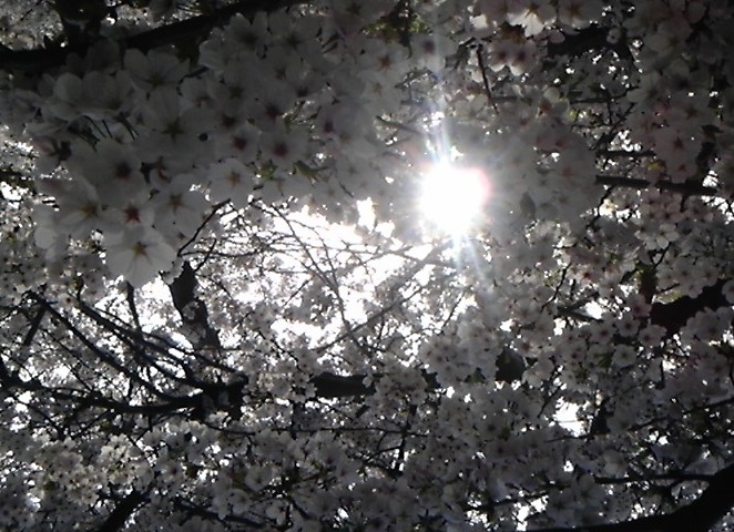 110410_153850.jpg